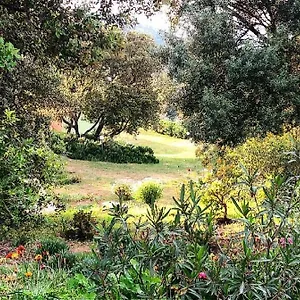  Alloggio per agriturismo Farm Gli Oleandri